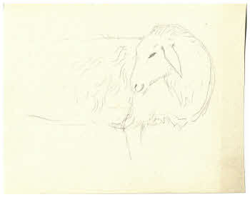 Visualizza l'immagine "FD D 187"